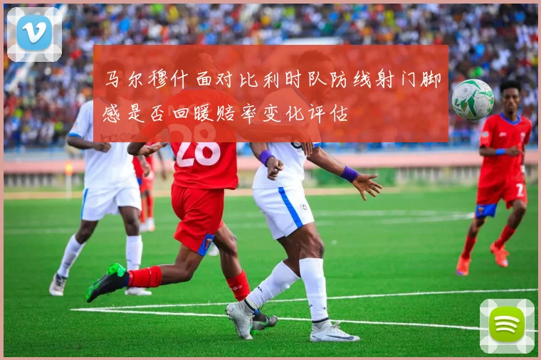 马尔穆什面对比利时队防线射门脚感是否回暖赔率变化评估