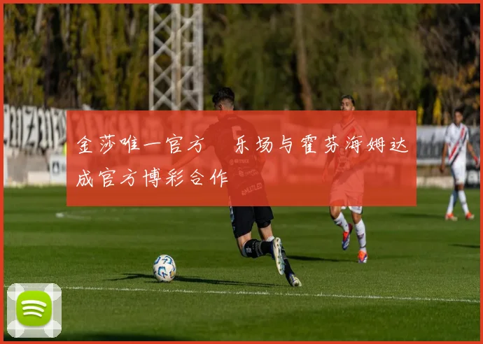 金莎唯一官方娯乐场与霍芬海姆达成官方博彩合作