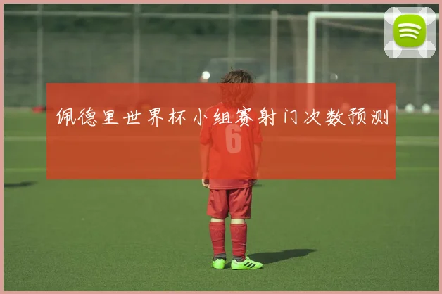 佩德里世界杯小组赛射门次数预测