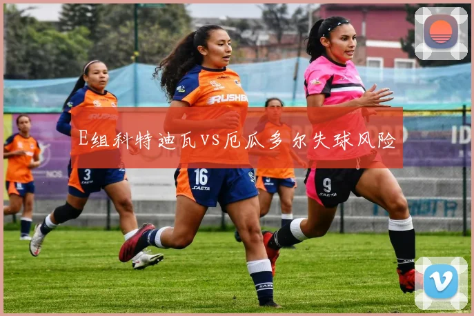 E组科特迪瓦vs厄瓜多尔失球风险