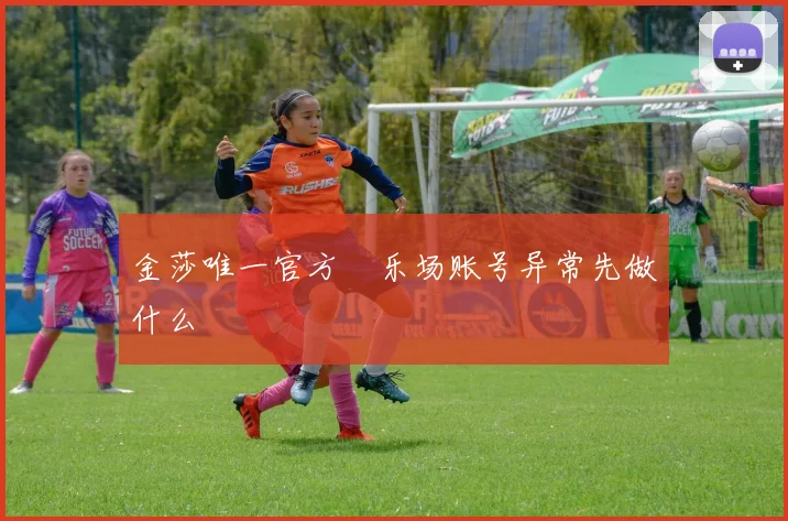 金莎唯一官方娯乐场账号异常先做什么