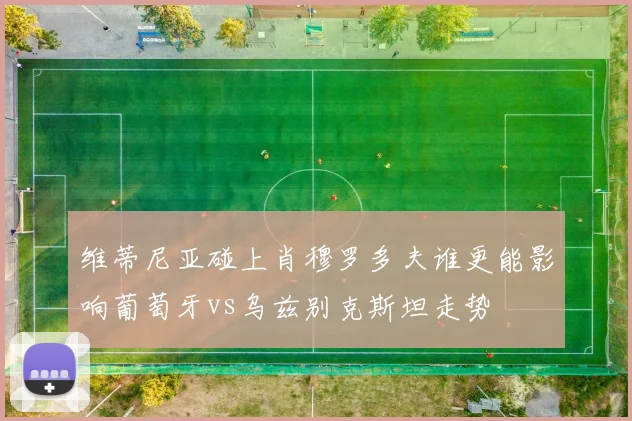 维蒂尼亚碰上肖穆罗多夫谁更能影响葡萄牙vs乌兹别克斯坦走势