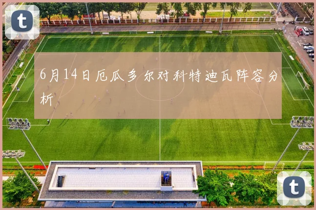 6月14日厄瓜多尔对科特迪瓦阵容分析