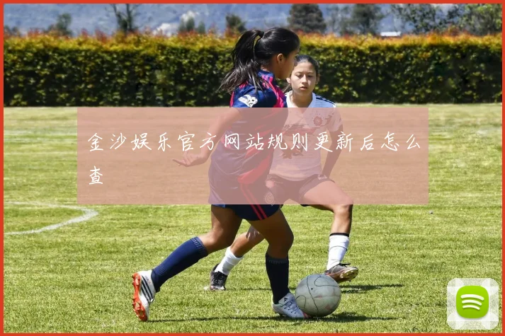 金沙娱乐官方网站规则更新后怎么查
