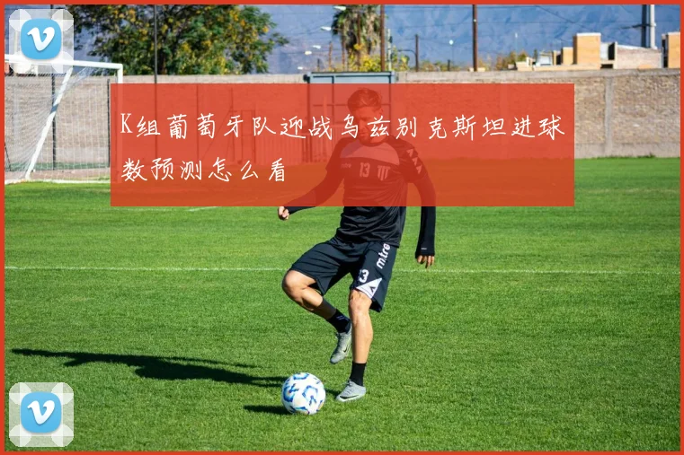 K组葡萄牙队迎战乌兹别克斯坦进球数预测怎么看