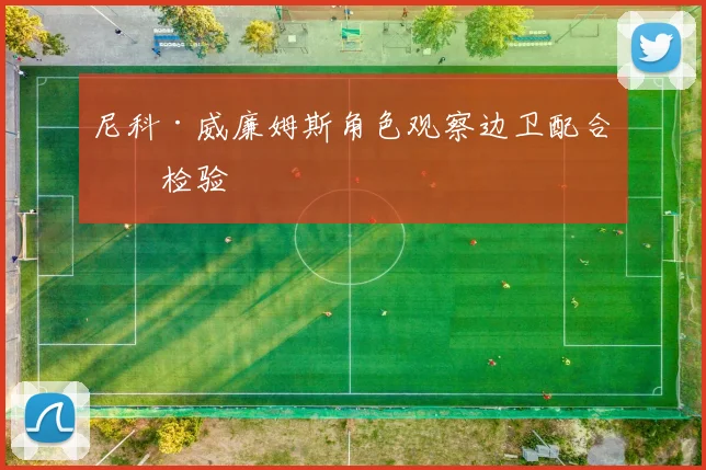 尼科·威廉姆斯角色观察边卫配合再检验