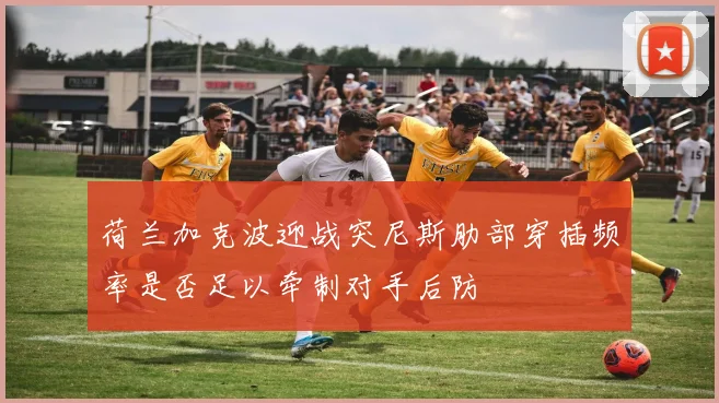 荷兰加克波迎战突尼斯肋部穿插频率是否足以牵制对手后防